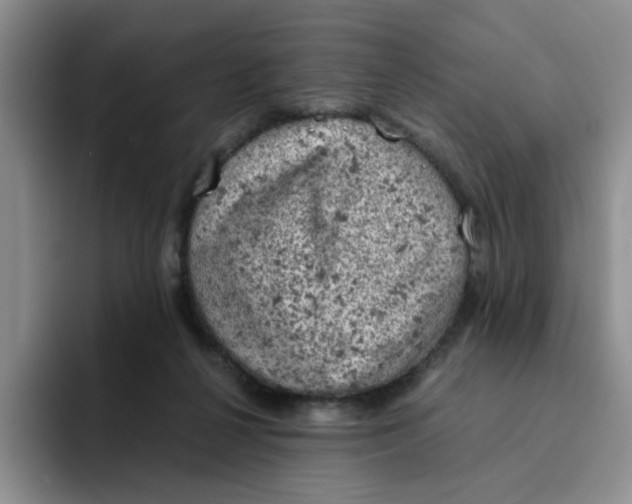 X0000091650264200709201131