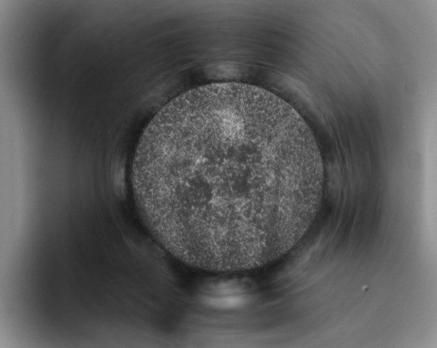 X0000091650267200709201131