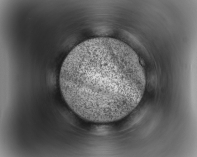 X0000091650268200709201131