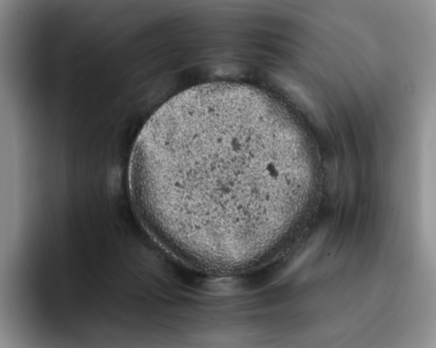 X0000091650269200709201131