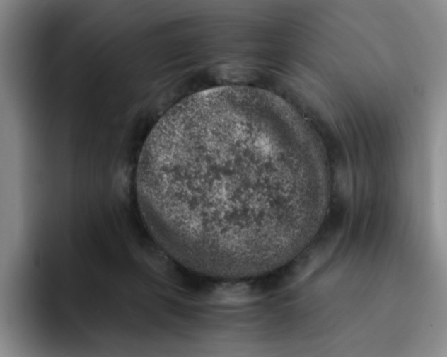 X0000091650271200709201131