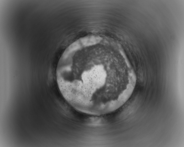 X0000091650272200709201131