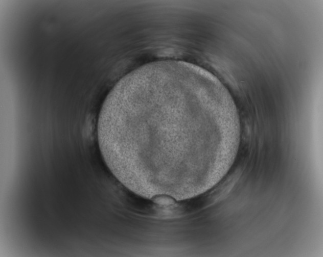 X0000091650273200709201131