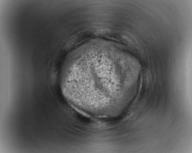 X0000091650276200709201131