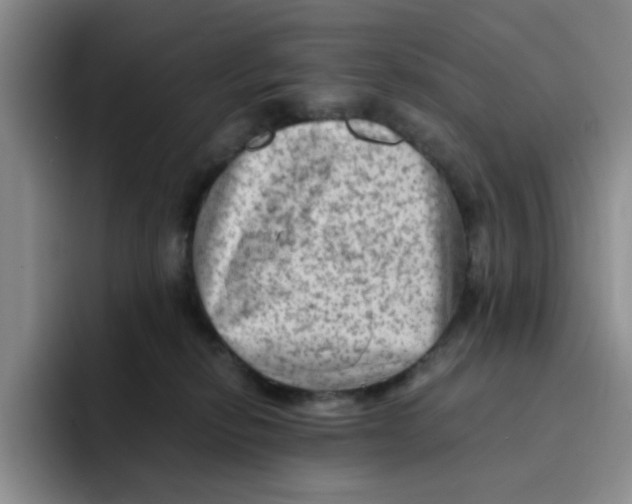 X0000091650278200709201131