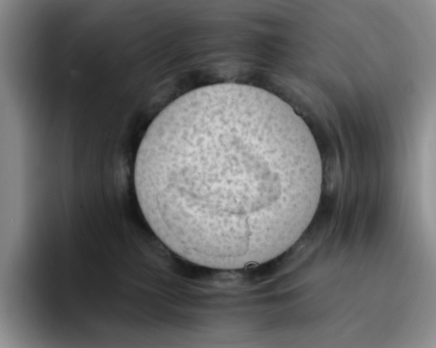 X0000091650279200709201131