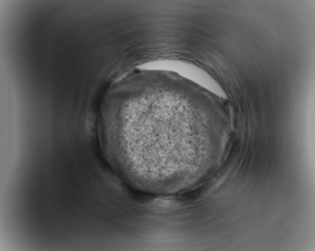 X0000091650280200709201131