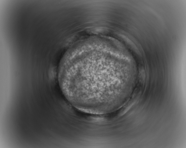 X0000091650284200709201131