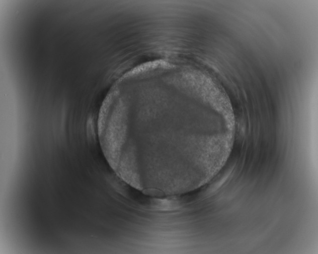 X0000091650286200709201132