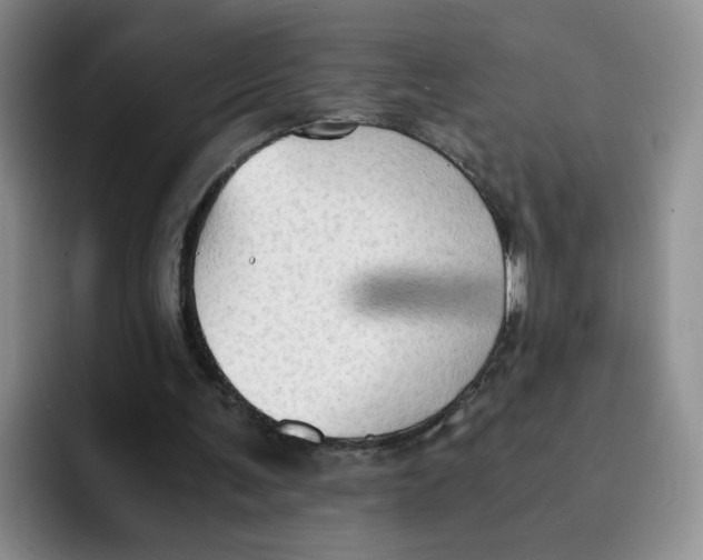 X0000091650291200709201131