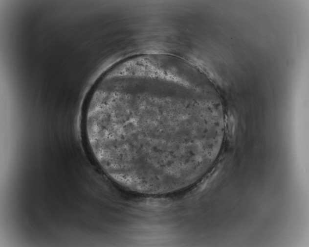 X0000091650292200709201131