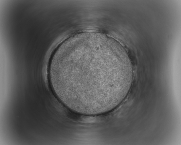 X0000091650293200709201131