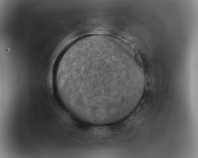 X0000091650296200709201131