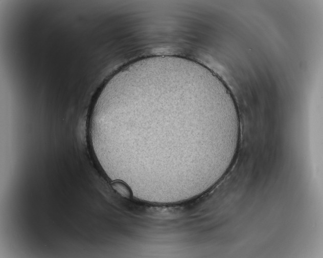 X0000091650297200709201131