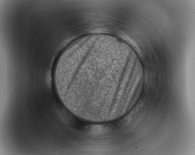 X0000091650298200709201131