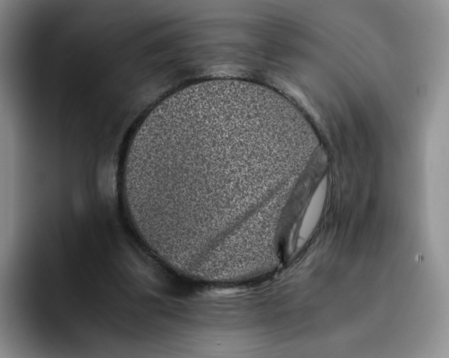 X0000091650299200709201131