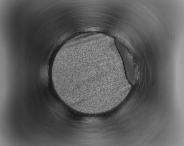 X0000091650300200709201131