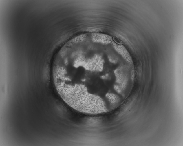 X0000091650303200709201131