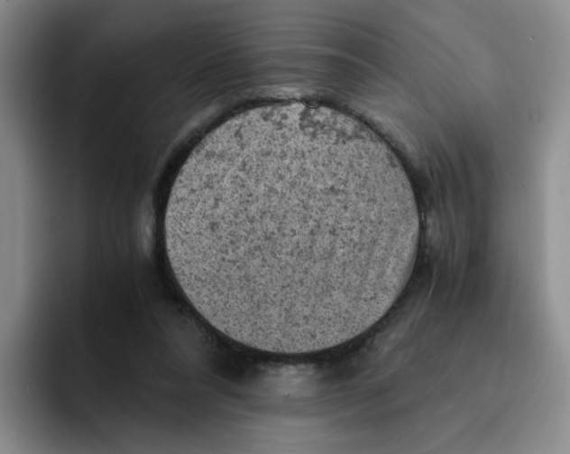 X0000091650304200709201131