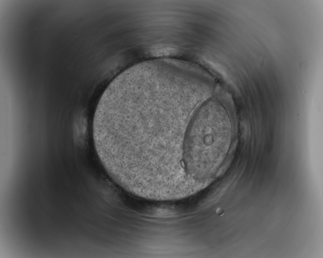 X0000091650308200709201131