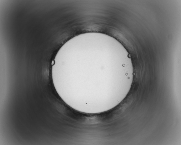 X0000091650309200709201131