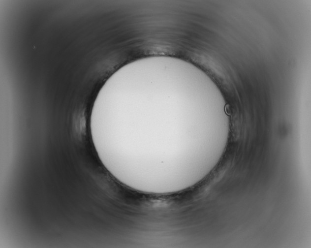 X0000091650310200709201131