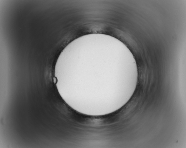 X0000091650313200709201131