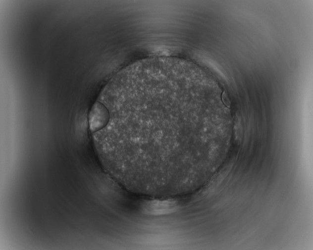 X0000091650314200709201131