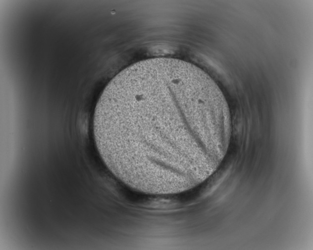 X0000091650315200709201131