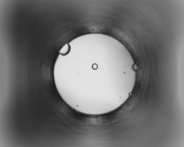 X0000091650317200709201131