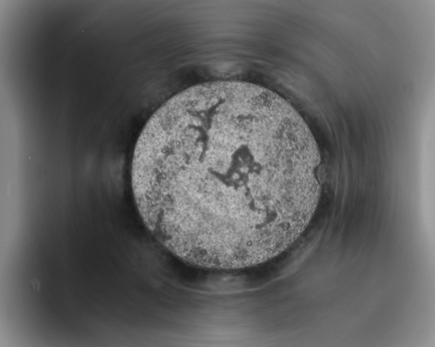 X0000091650319200709201131