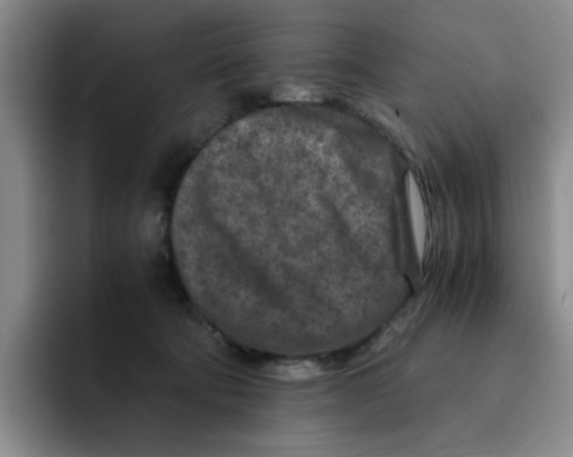 X0000091650322200709201131