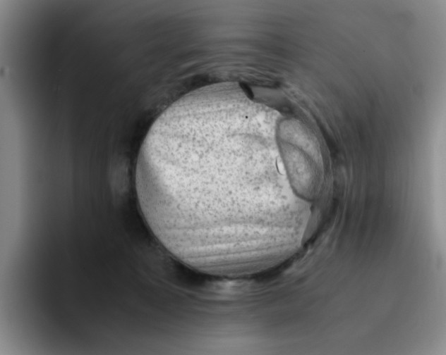 X0000091650323200709201131