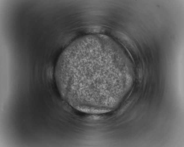 X0000091650326200709201131