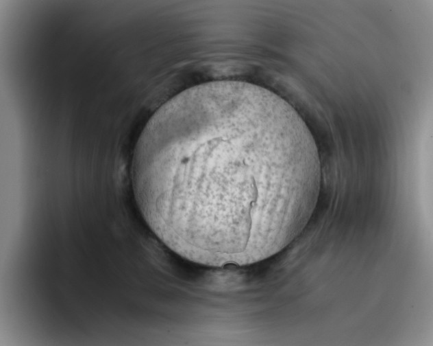 X0000091650327200709201131