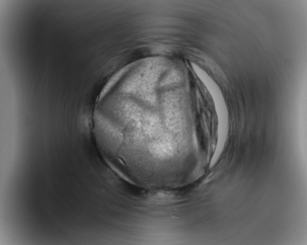 X0000091650329200709201130