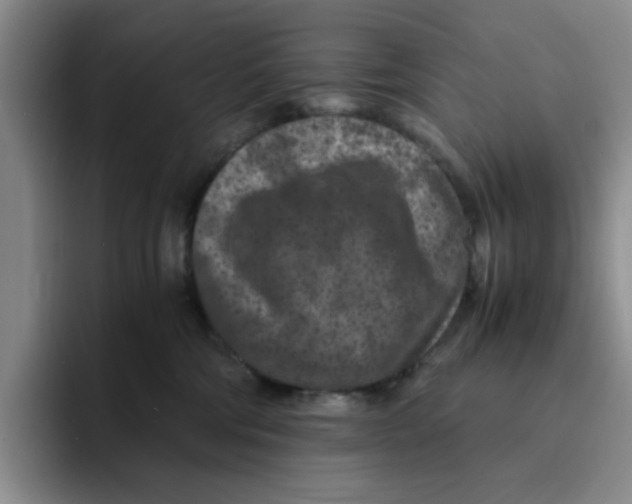 X0000091650330200709201130