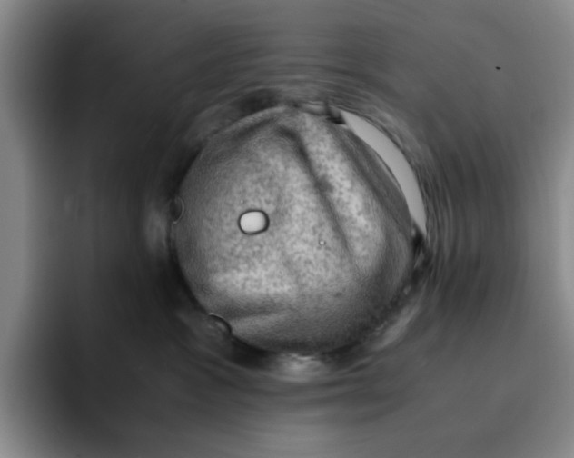 X0000091650333200709201130