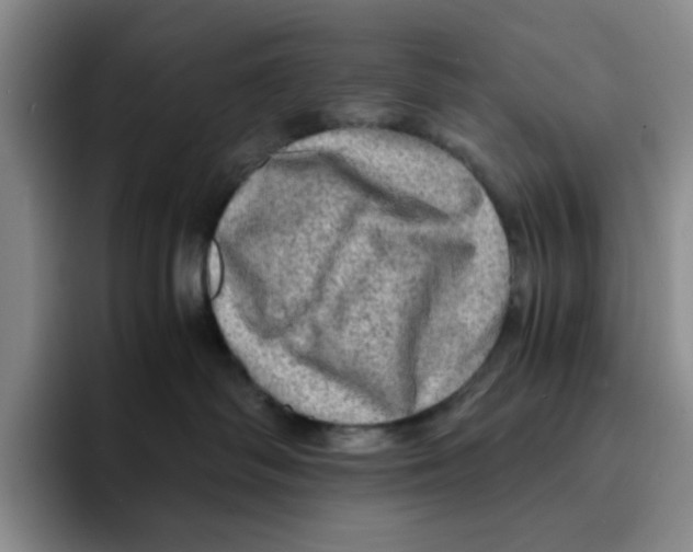 X0000091650334200709201130