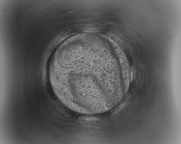 X0000091650339200709201130