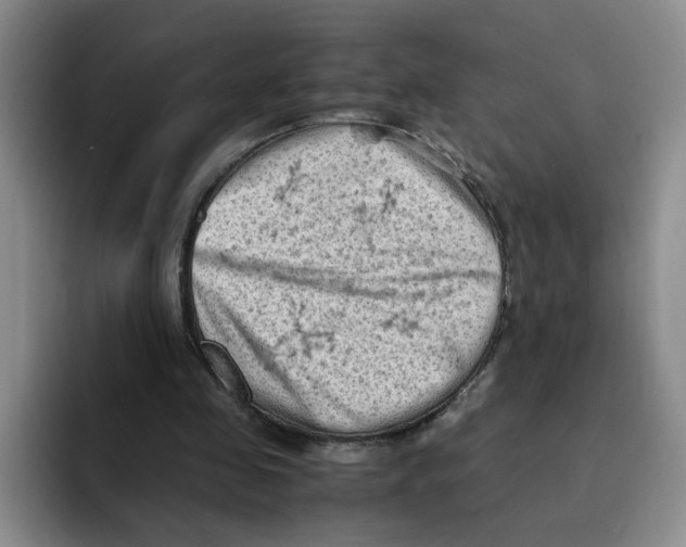 X0000091650341200709201130