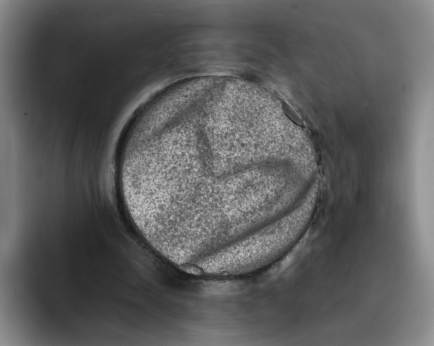 X0000091650342200709201130