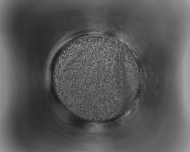 X0000091650343200709201130