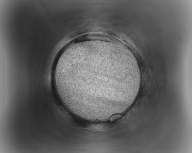 X0000091650344200709201130