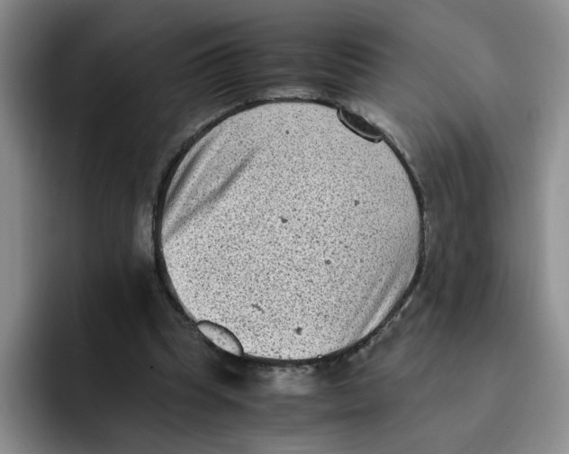 X0000091650345200709201130