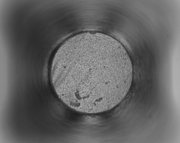 X0000091650346200709201130