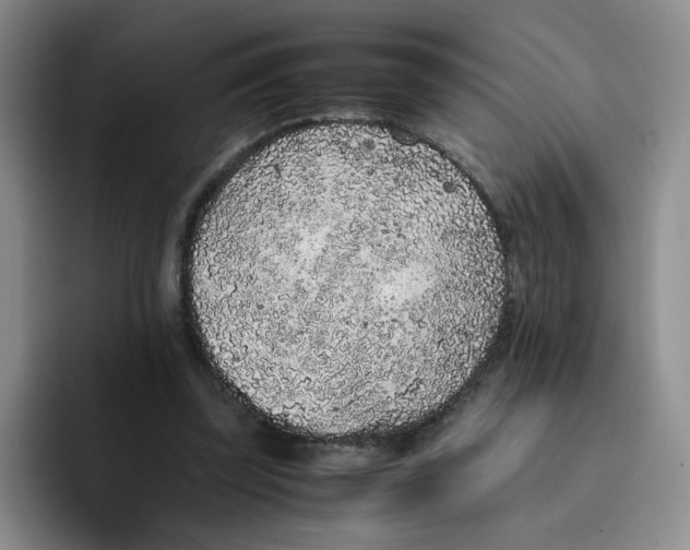 X0000091650347200709201130