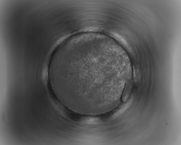 X0000091650348200709201130