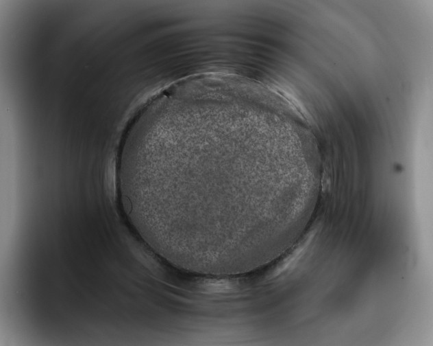 X0000091650349200709201130