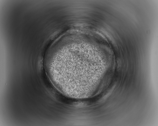 X0000091650356200709201130